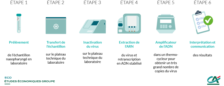 Les différentes étapes d'un test PCR