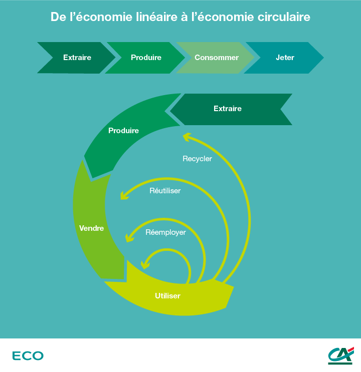 Economie lineaire et circulaire