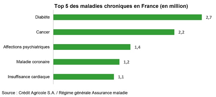 Top 5 des maladies chroniques en France (en million)